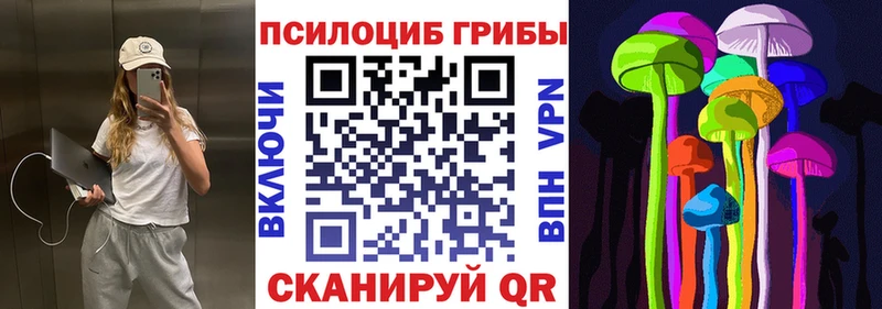 Галлюциногенные грибы мицелий  гидра сайт  Тара  цена  