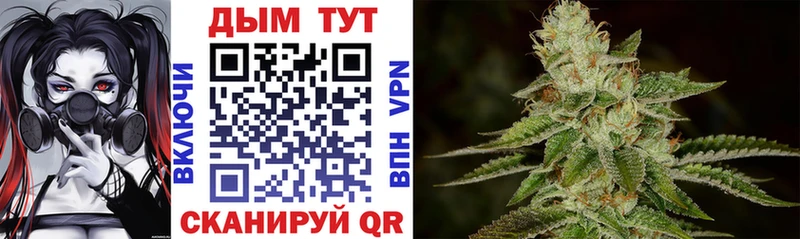 где купить наркоту  Тара  это как зайти  Бошки марихуана THC 21% 